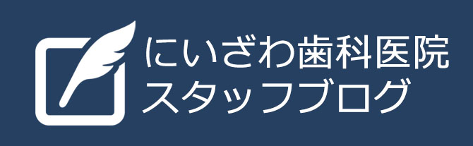 スタッフブログ